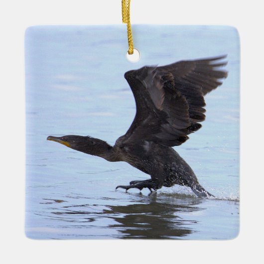 Double-crested Cormorant Ornament (Voorkant)