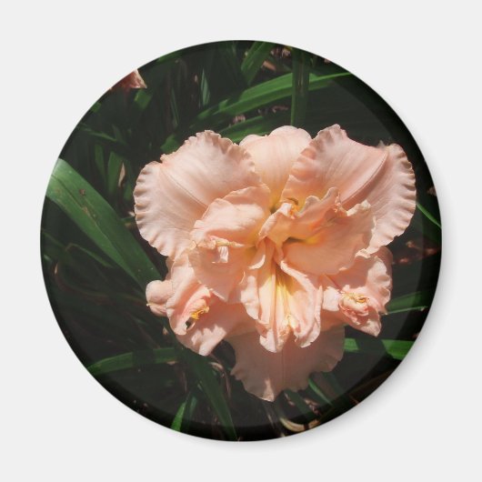 Double Daylily Magneet (Voorkant)