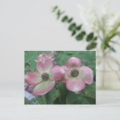 Double Dogwood Briefkaart (Staand voorkant)