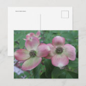 Double Dogwood Briefkaart (Voorkant / Achterkant)