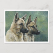 "Double Duty" Duitse Briefkaarten voor herderskuns (Voorkant)