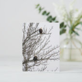 Double Eagle Briefkaart (Staand voorkant)