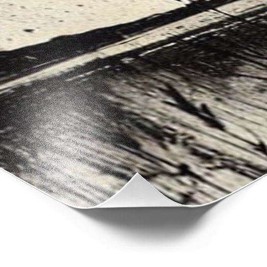 Double Exposure Vrouw met meeuwen en sterrenhemel Foto Afdruk (Hoek)