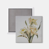 Double Narcissi Bouquet Floral Art Magneet (Voorkant / Achterkant)