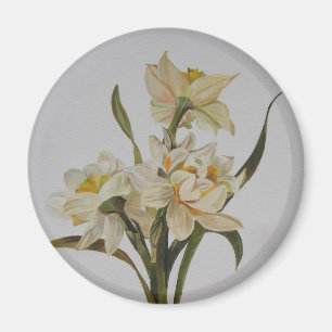 Double Narcissi Bouquet Floral Art Magneet