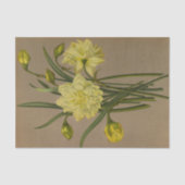 Double Narcissus Sulfur Kroon Silver Phoenix Tissuepapier (Voorkant)