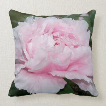Double Peony Blooms x 2 Pillow