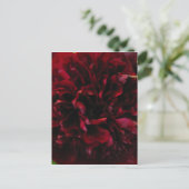 Double Peony Tulip Briefkaart (Staand voorkant)