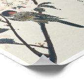 Double Petaled Cherry Blossom, Hiroshige, 1830 Poster (Hoek)