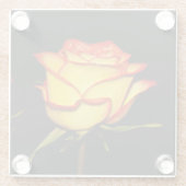 Double Red and Yellow Rose Bloom Glazen Onderzetter (Achterkant)