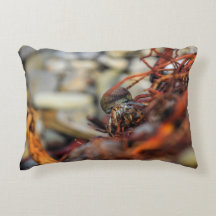 Double Sided Hermit Crab Pillow