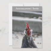 Double Sided Invitation (Rooster) Kaart (Voorkant)