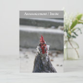 Double Sided Invitation (Rooster) Kaart (Staand voorkant)