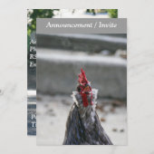 Double Sided Invitation (Rooster) Kaart (Voorkant / Achterkant)