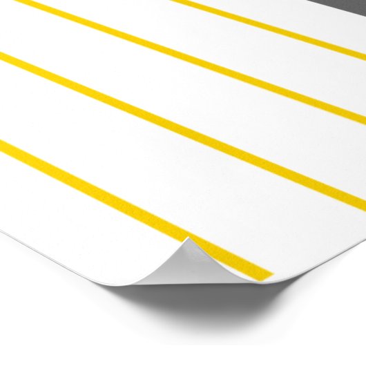 Double Slit Light Wave Particle Science Experiment Poster (Hoek)