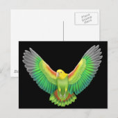 Double Yellow Headed Amazon Briefkaart (Voorkant / Achterkant)