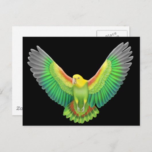 Double Yellow Headed Amazon Briefkaart (Voorkant / Achterkant)