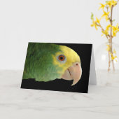 Double Yellowhead Amazon Note Card Kaart (Gele Bloem)