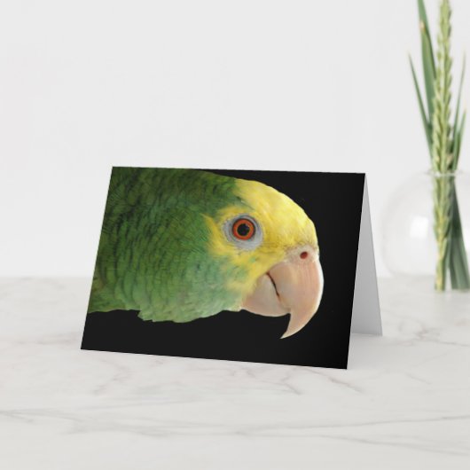 Double Yellowhead Amazon Note Card Kaart (Voorkant)