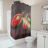 Douchegordijn bloeit rood en donker (In situ)