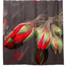 Douchegordijn bloeit rood en donker