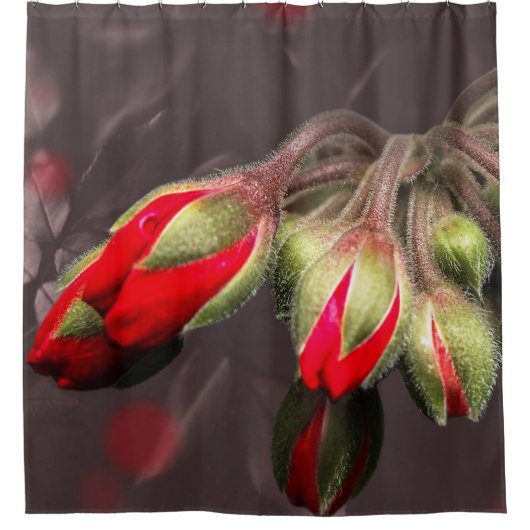 Douchegordijn bloeit rood en donker (Voorkant)