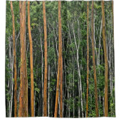 DOUCHEGORDIJN 'HET BOS' (Voorkant)