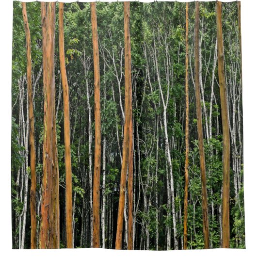 DOUCHEGORDIJN 'HET BOS' (Voorkant)