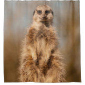 Douchegordijn Meerkat (Voorkant)