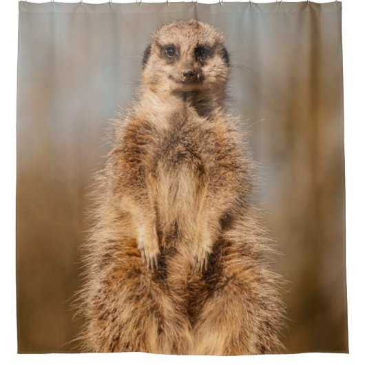 Douchegordijn Meerkat (Voorkant)