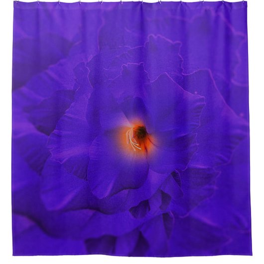 Douchegordijn Zwaardbloem Paarse vermenigvuldigen (Voorkant)