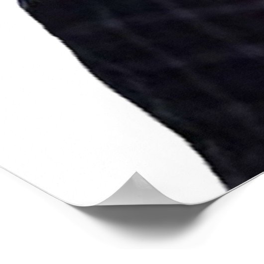 Doug Judy and Jake Peralta Brooklyn 99 Karaoke Poster (Hoek)