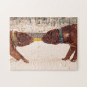 Douge De Bordeaux Tug of War Legpuzzel (Horizontaal)