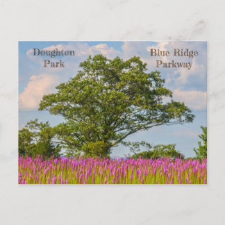 Doughton Park aan de Blue Ridge Parkway Briefkaart