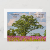 Doughton Park aan de Blue Ridge Parkway Briefkaart (Voorkant / Achterkant)