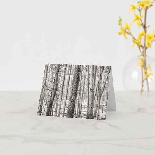 Douglas Bossen Zwart en Wit Kaart (Gele Bloem)