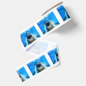 Douglas DC-3 Vliegtuig Grosgrain Lint (Achterkant)