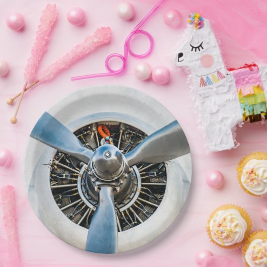 Douglas DC-3 Vliegtuig. propeller Papieren Bordje (Feest)