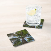 Douglas Fir boombladerdak Kartonnen Onderzetters (Insitu)