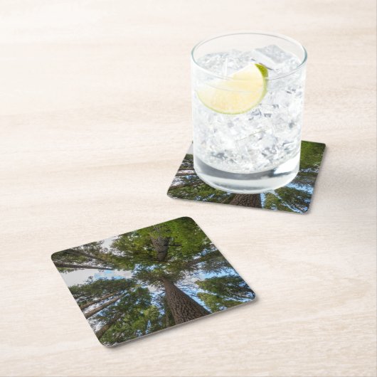 Douglas Fir boombladerdak Kartonnen Onderzetters (Insitu)