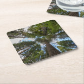 Douglas Fir boombladerdak Kartonnen Onderzetters (Schuin)