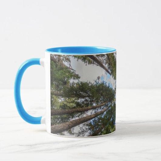 Douglas Fir boombladerdak Mok (Links)
