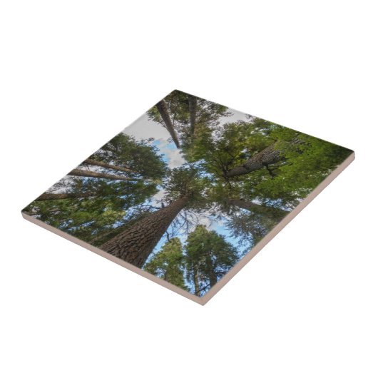 Douglas Fir boombladerdak Tegeltje (Zijkant)