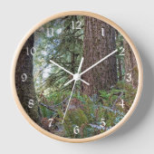 Douglas Fir Conifer Forest (Voorkant)