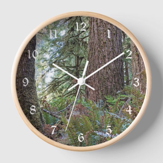 Douglas Fir Conifer Forest (Voorkant)