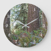 Douglas Fir Conifer Forest Grote Klok (Voorkant)