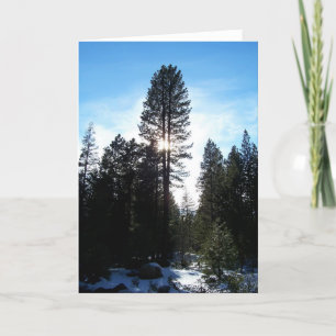 Douglas Fir Feestdagen Kaart