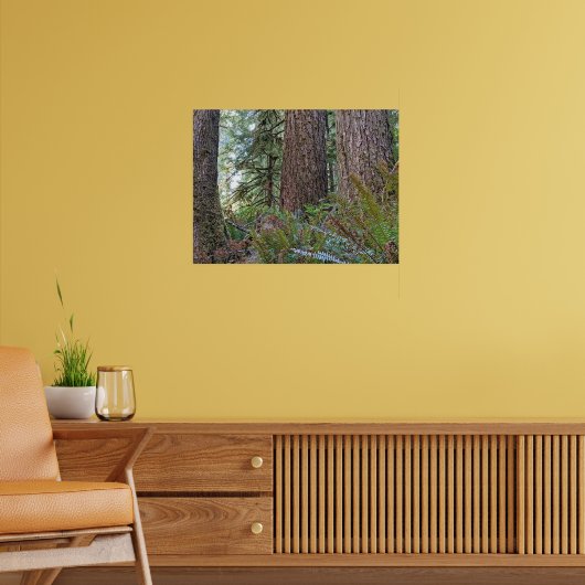 Douglas Fir Naaldbos Fotografie Poster (Woonkamer 2)