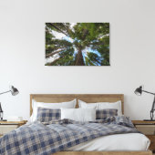 Douglas Fir tree canopy Canvas Afdruk (Insitu (Slaapkamer))