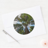 Douglas Fir tree canopy Ronde Sticker (Envelop)